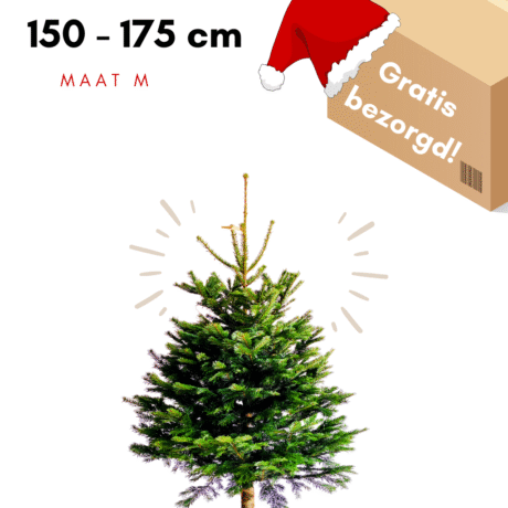 kerstboom kopen utrecht