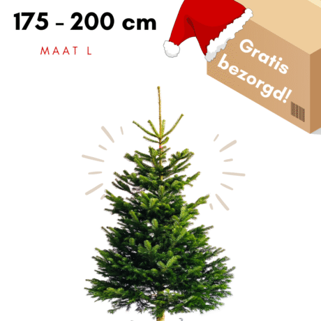 kerstboom utrecht