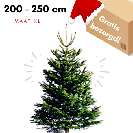 kerstboom bezorgen utrecht