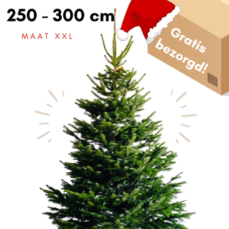 Kerstboom kopen utrecht