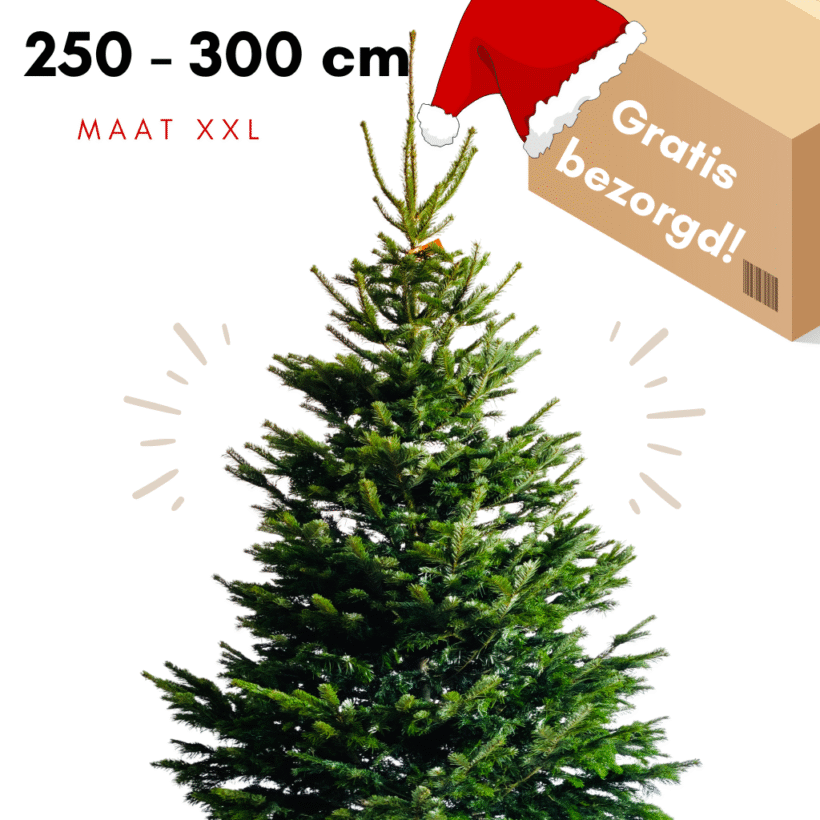 Kerstboom kopen utrecht