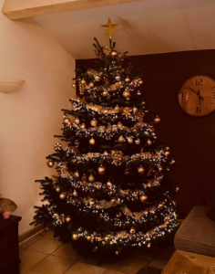 Kerstboom bezorgen utrecht